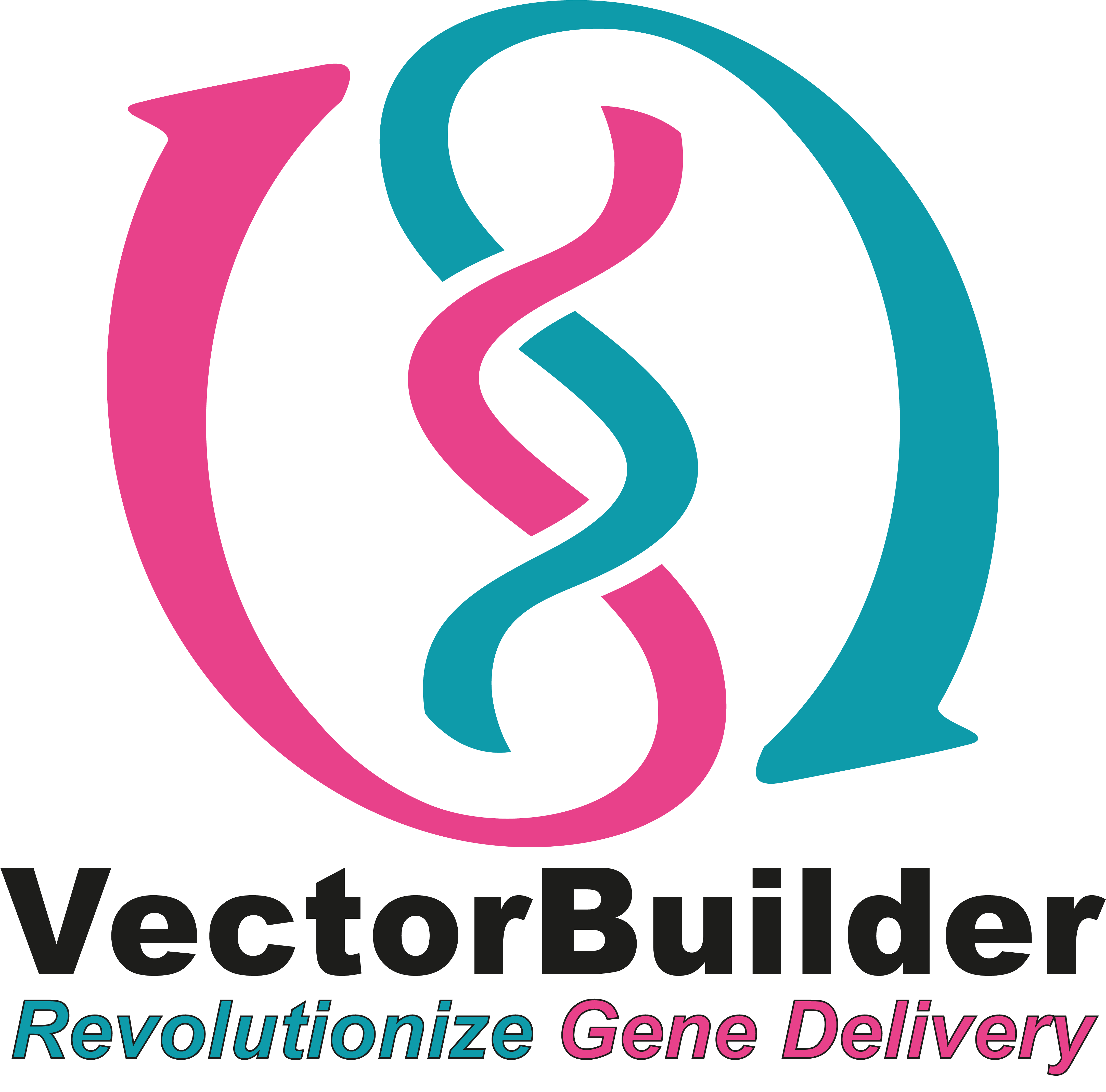 Vectorbuilder 2023